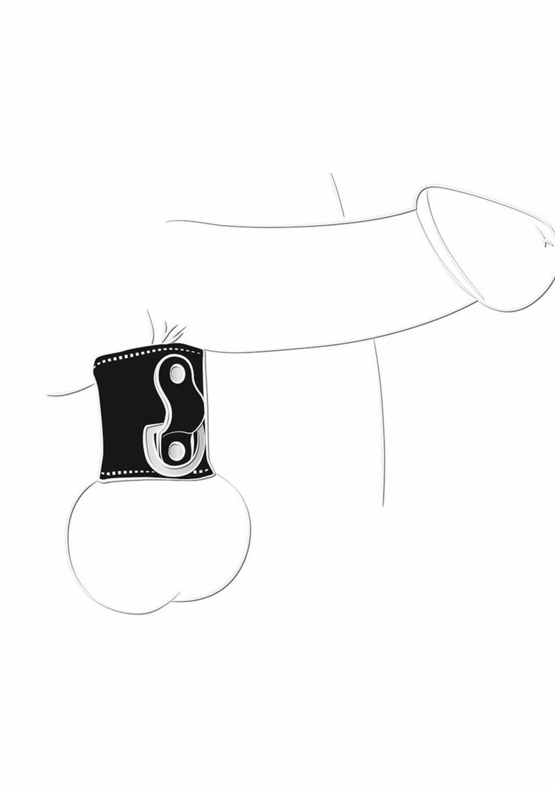 Load image into Gallery viewer, Ballgear Iron Mini Ball Stretcher with D-Ring
