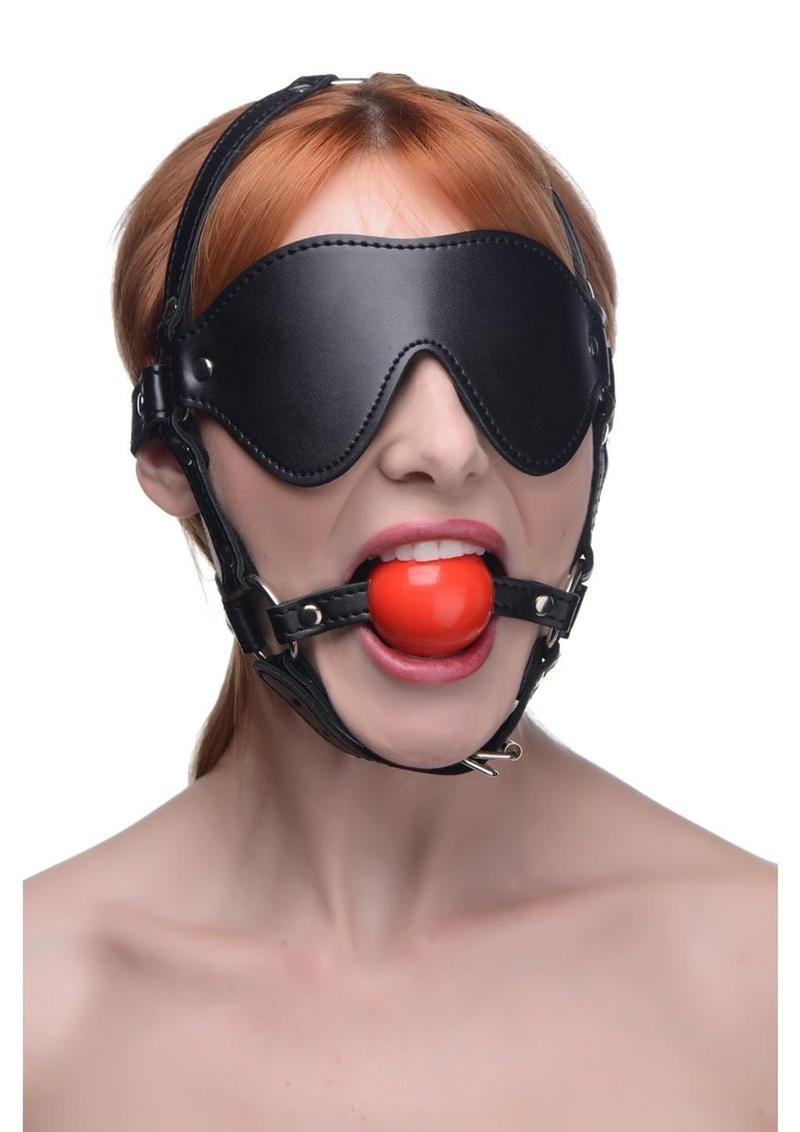 Load image into Gallery viewer, Blindfold Harness with Ball Gag - Black/Red
