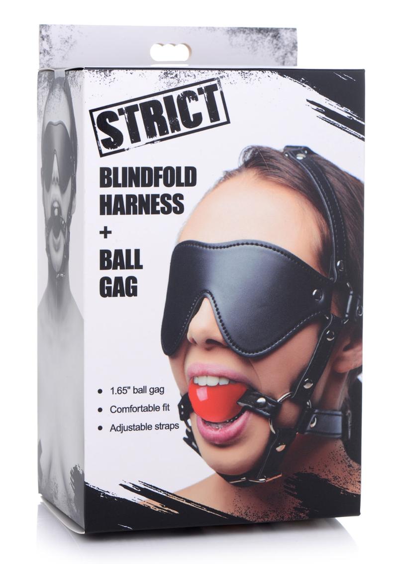 Load image into Gallery viewer, Blindfold Harness with Ball Gag - Black/Red
