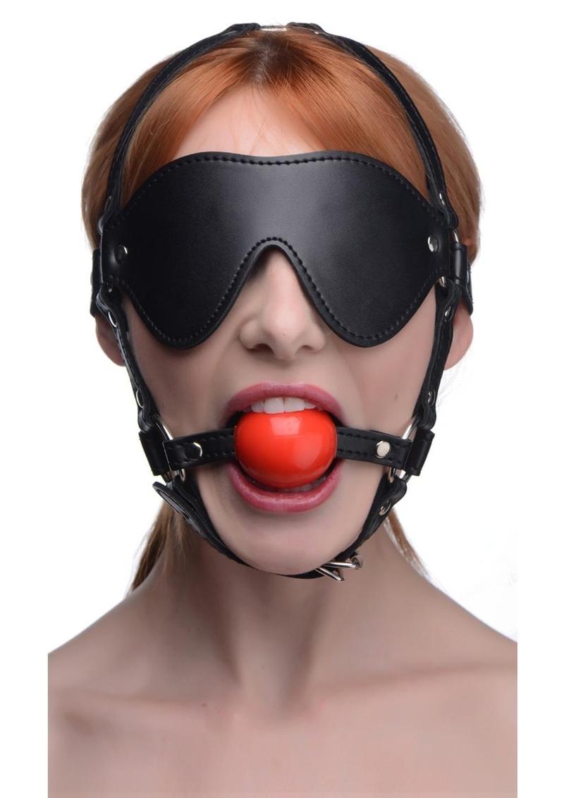 Load image into Gallery viewer, Blindfold Harness with Ball Gag
