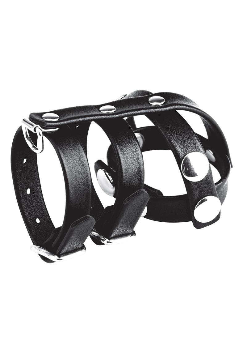 Load image into Gallery viewer, Blue Line C and B Gear Double Cock and Ball Strap with Leash Lead - Black
