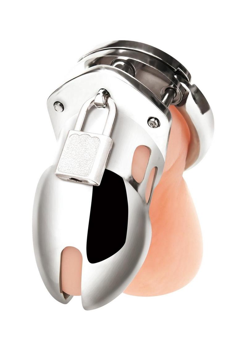 Load image into Gallery viewer, Blue Line Cock Humiliation Chastity Cage Small 2.75in - Stainless - Steel
