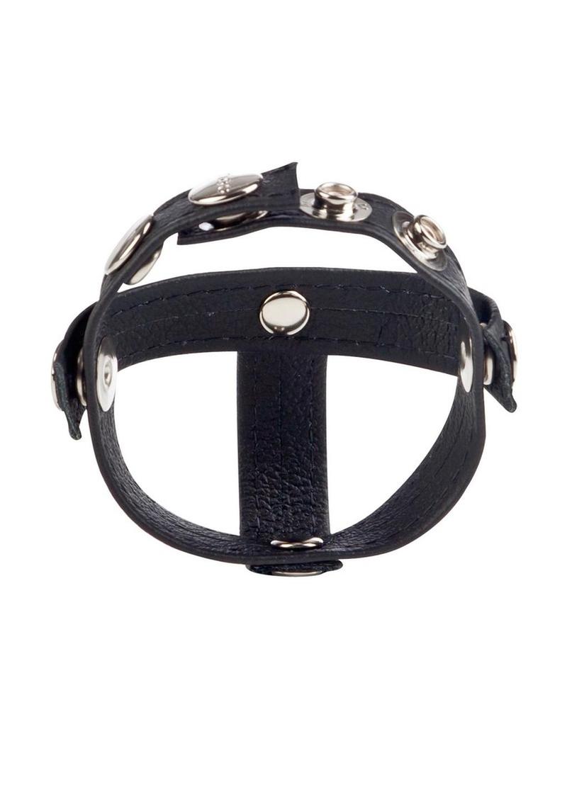 Load image into Gallery viewer, Colt Leather C/B Strap H-Piece Divider Cock Ring
