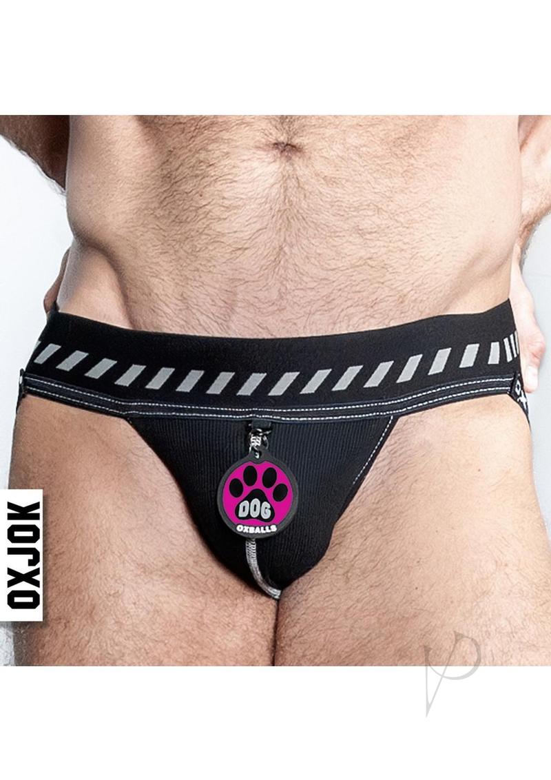 Load image into Gallery viewer, Dog Pack Pup Taggers 6-Tag Dog Jock - Black/Silver - Large
