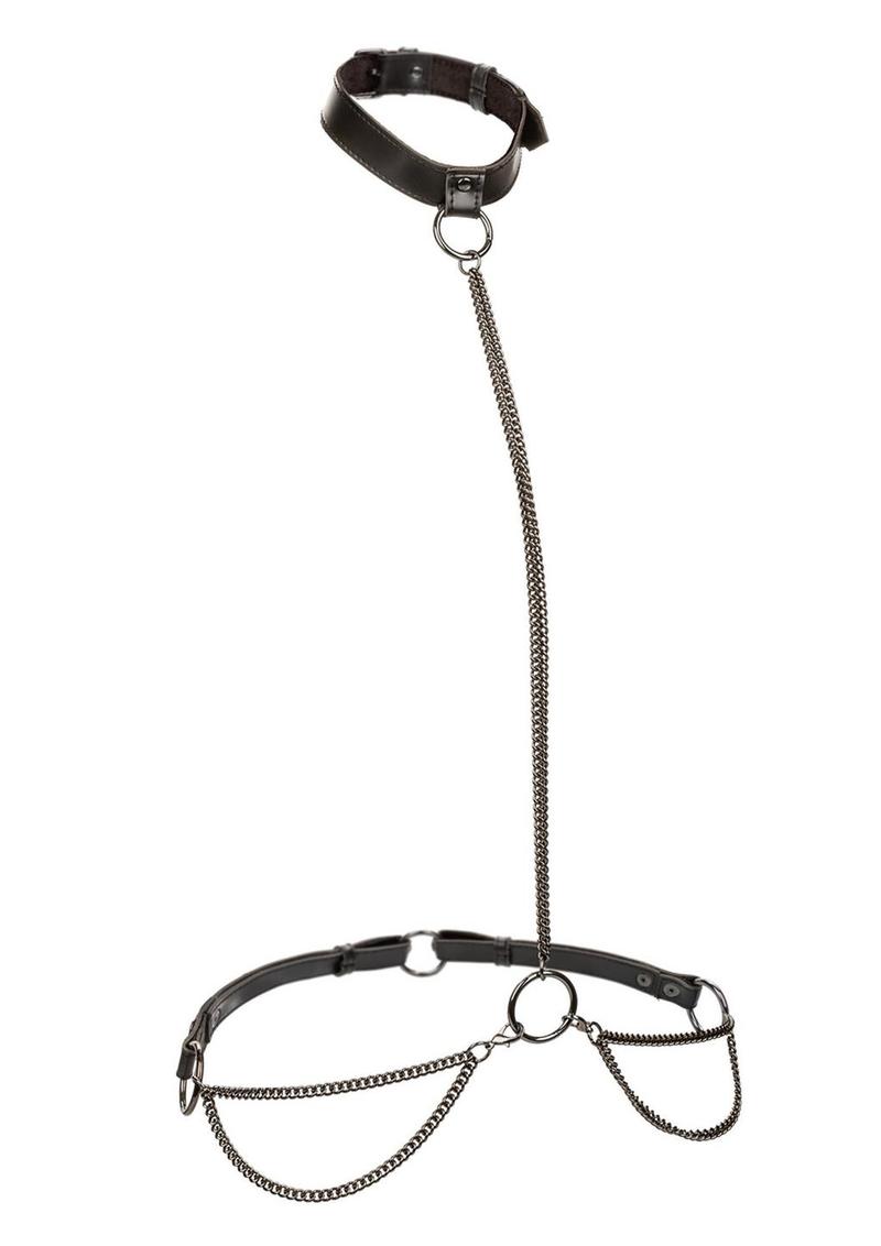 Load image into Gallery viewer, Euphoria Collection Chain Halter/Collar and Leash - Black
