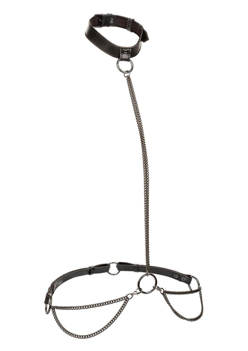 Load image into Gallery viewer, Euphoria Collection Chain Halter/Collar and Leash - Black - Plus Size
