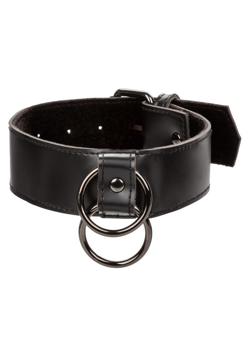 Load image into Gallery viewer, Euphoria Collection Collar with Chain Leash
