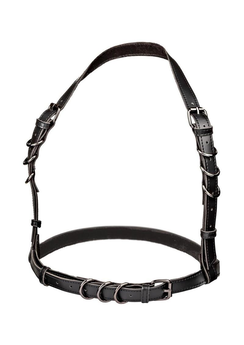 Load image into Gallery viewer, Euphoria Collection Halter Buckle Harness - Black - One Size
