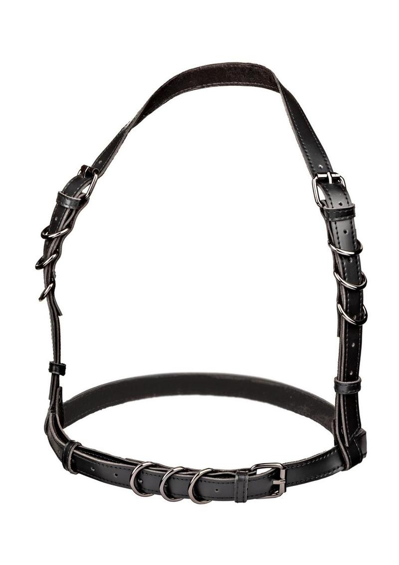 Load image into Gallery viewer, Euphoria Collection Halter Buckle Harness - Black - Plus Size/Queen
