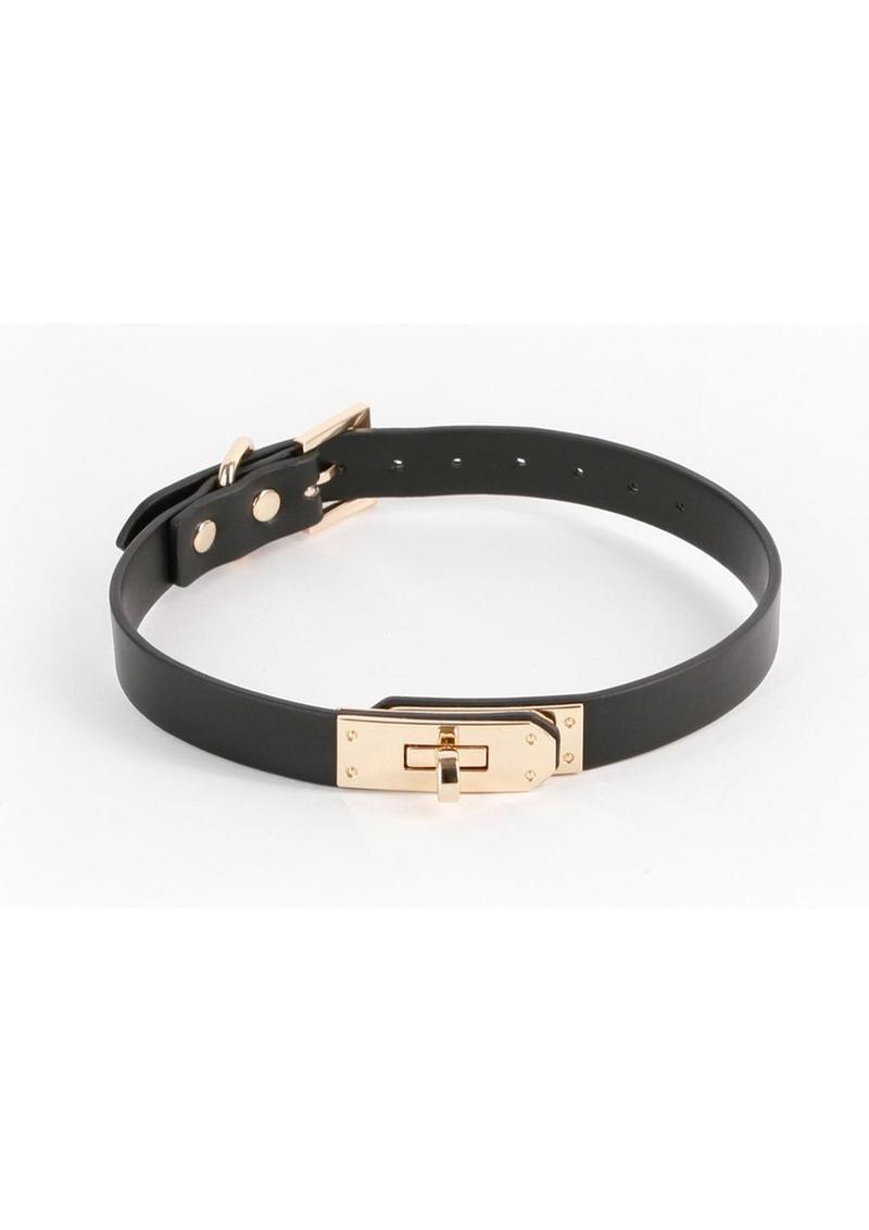 Load image into Gallery viewer, Fetish and Fashion Sadie Collar - Black/Gold
