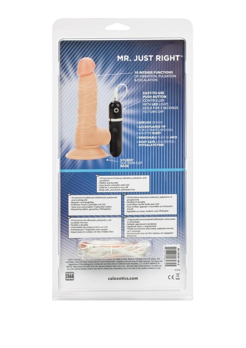 Load image into Gallery viewer, Mr Just Right Vibrating Dildo with Bullet
