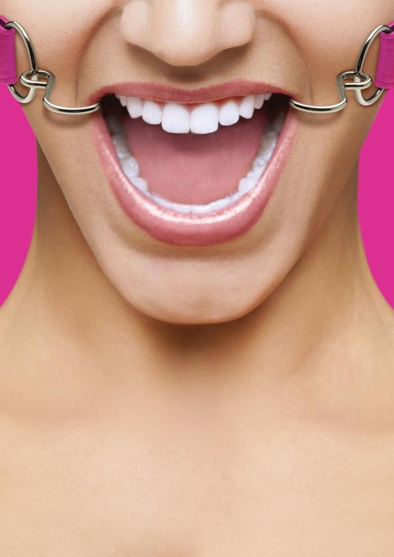 Load image into Gallery viewer, Ouch! Hook Gag - Pink
