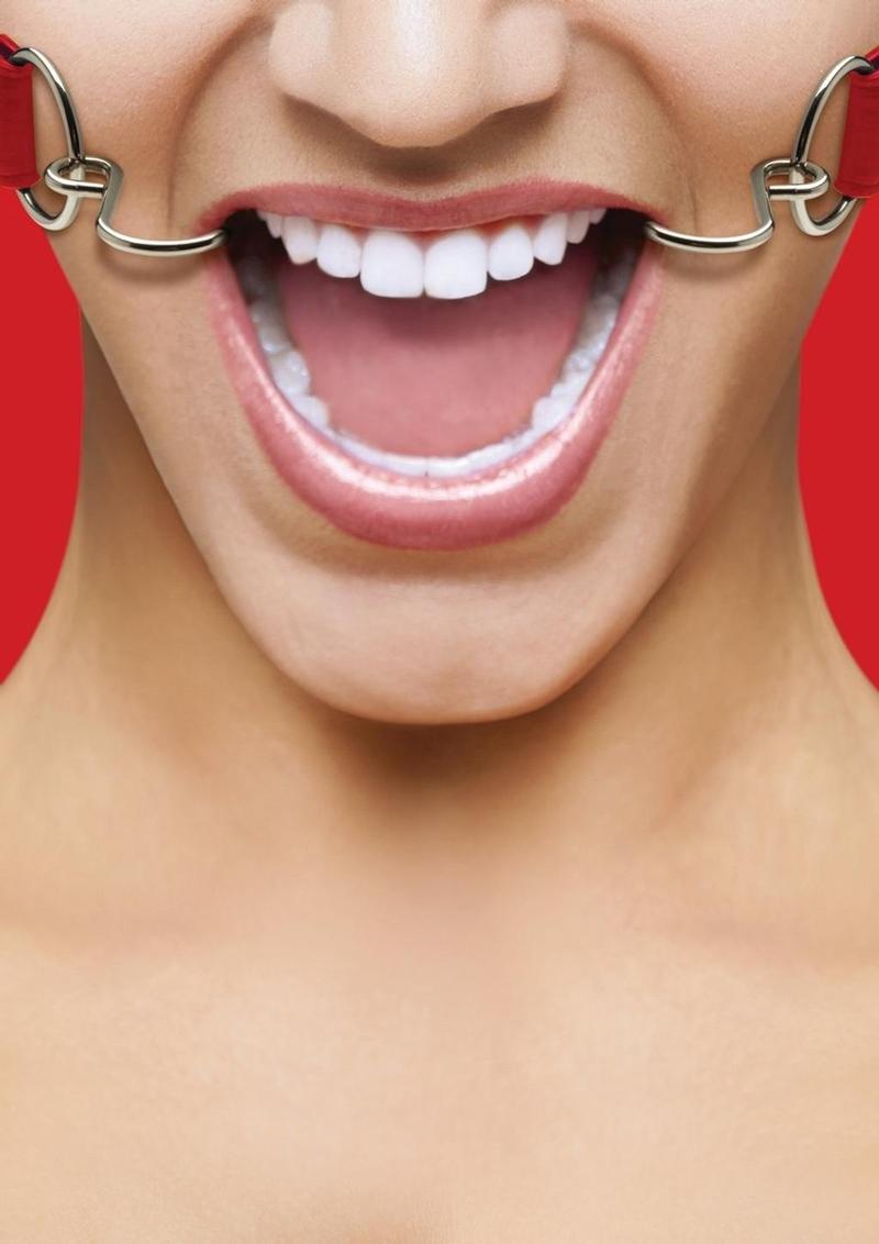 Load image into Gallery viewer, Ouch! Hook Gag - Red
