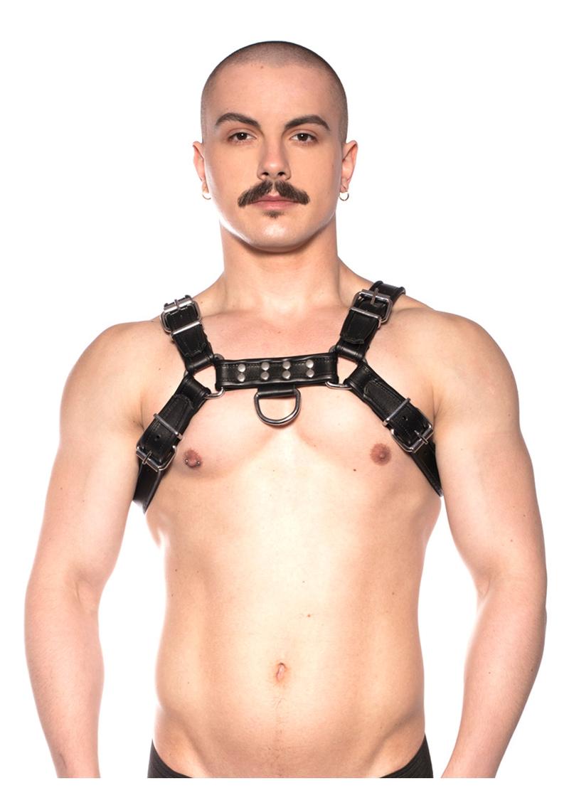 Load image into Gallery viewer, Prowler Red Bull Harness - Black - Small
