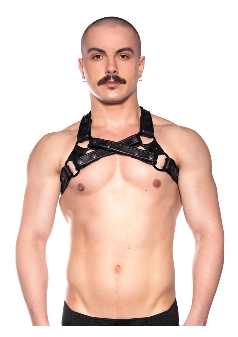 Load image into Gallery viewer, Prowler Red Cross Harness - Black - Medium/Small
