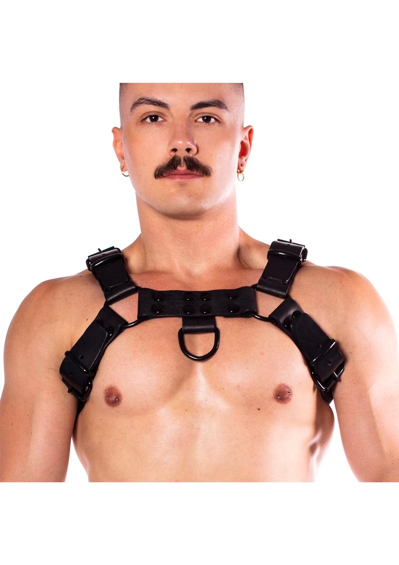 Load image into Gallery viewer, Prowler Red Noir Harness Premium - Black - Large
