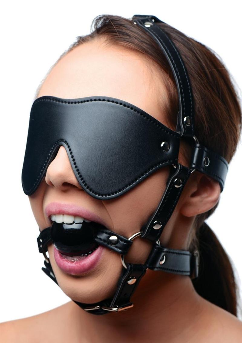 Load image into Gallery viewer, Strict Eye Mask Harness with Ball Gag
