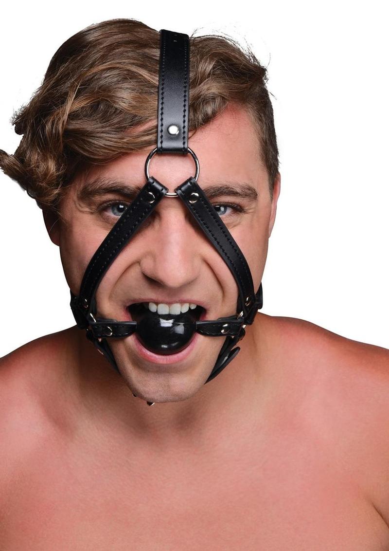 Load image into Gallery viewer, Strict Head Harness with Ball Gag
